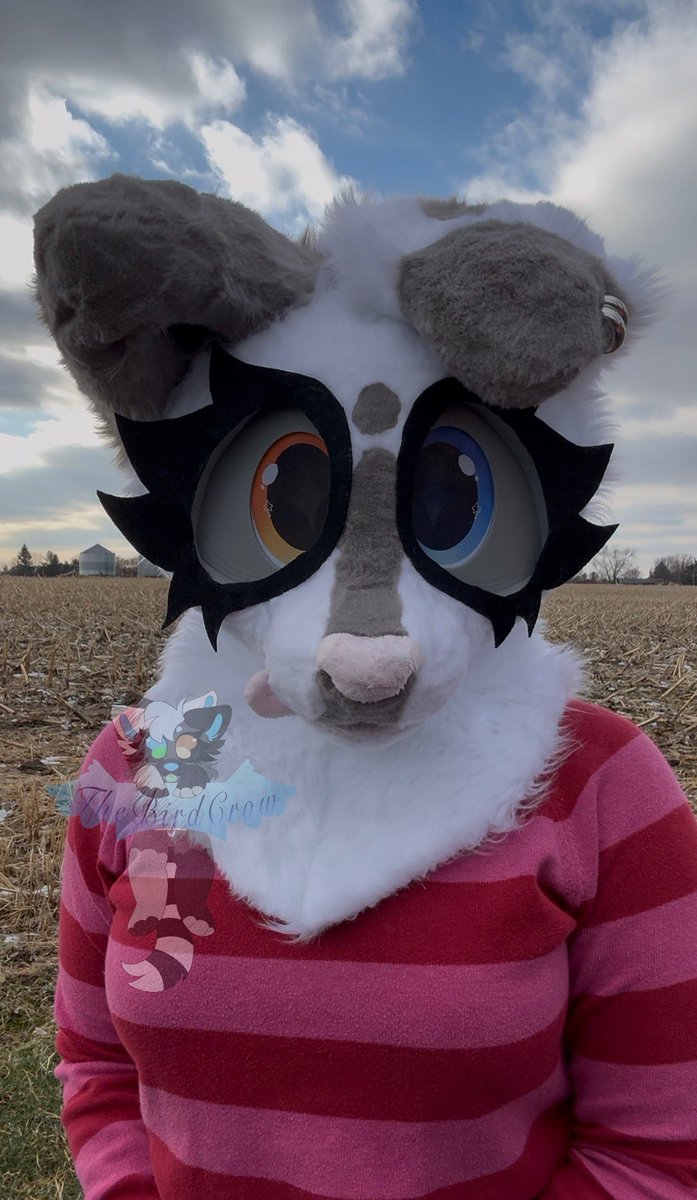 TheGoddessCrow's tweet photo. Forgot to post this here. I made my very first fursuit!! :DD
Everything is made by me!! I 3D modeled my own head and had it printed on tpu. I have 2 commissions and a passion project on the way! 👀
#fursuit #fursuitmaker #furry #fursuiter https://t.co/ezz38nlWIQ