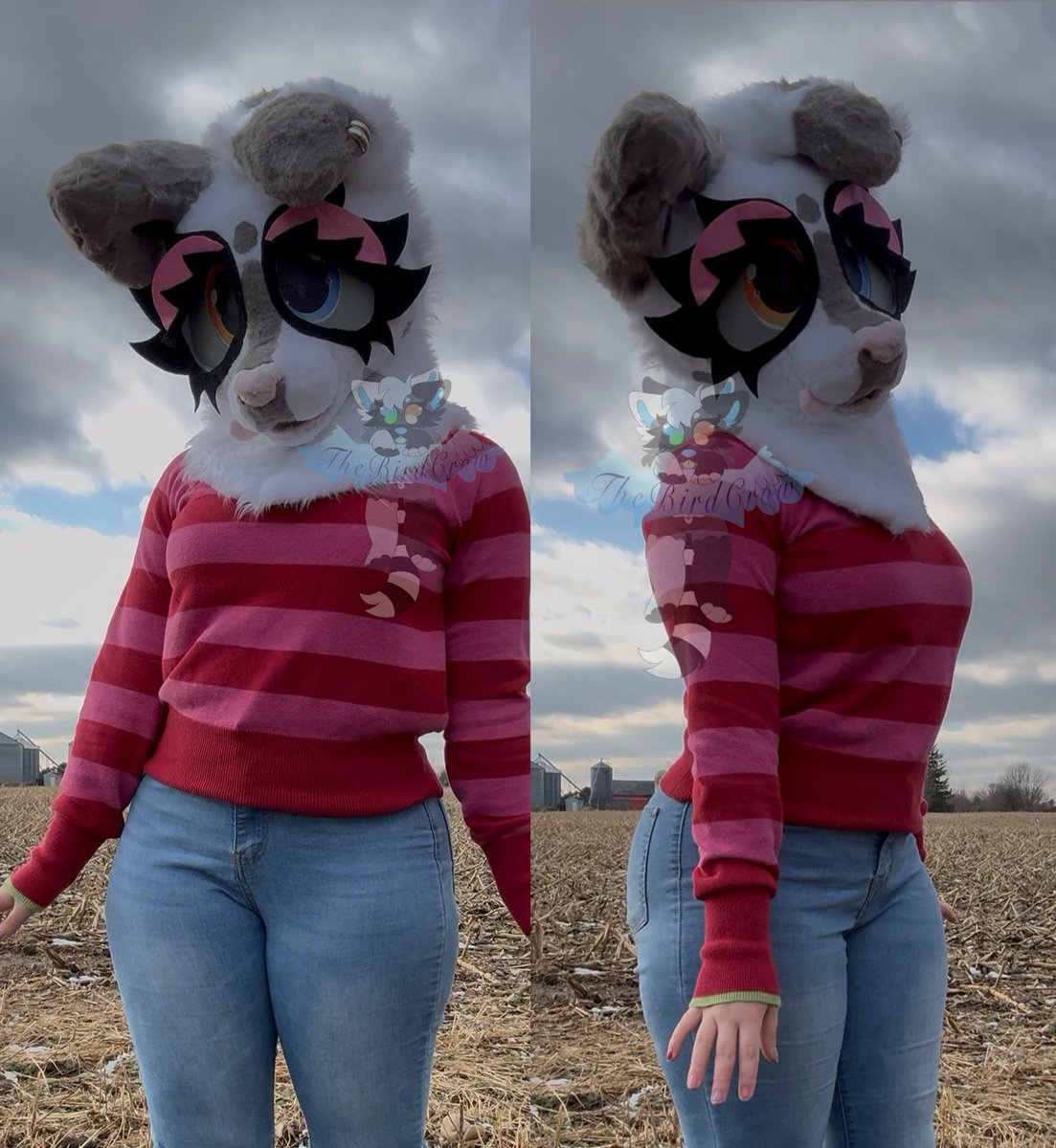 TheGoddessCrow's tweet photo. Forgot to post this here. I made my very first fursuit!! :DD
Everything is made by me!! I 3D modeled my own head and had it printed on tpu. I have 2 commissions and a passion project on the way! 👀
#fursuit #fursuitmaker #furry #fursuiter https://t.co/ezz38nlWIQ
