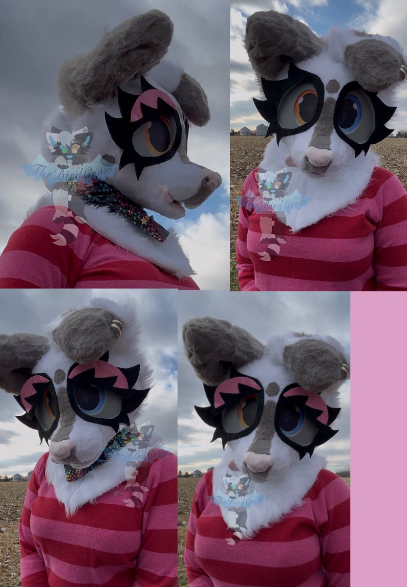 TheGoddessCrow's tweet photo. Forgot to post this here. I made my very first fursuit!! :DD
Everything is made by me!! I 3D modeled my own head and had it printed on tpu. I have 2 commissions and a passion project on the way! 👀
#fursuit #fursuitmaker #furry #fursuiter https://t.co/ezz38nlWIQ