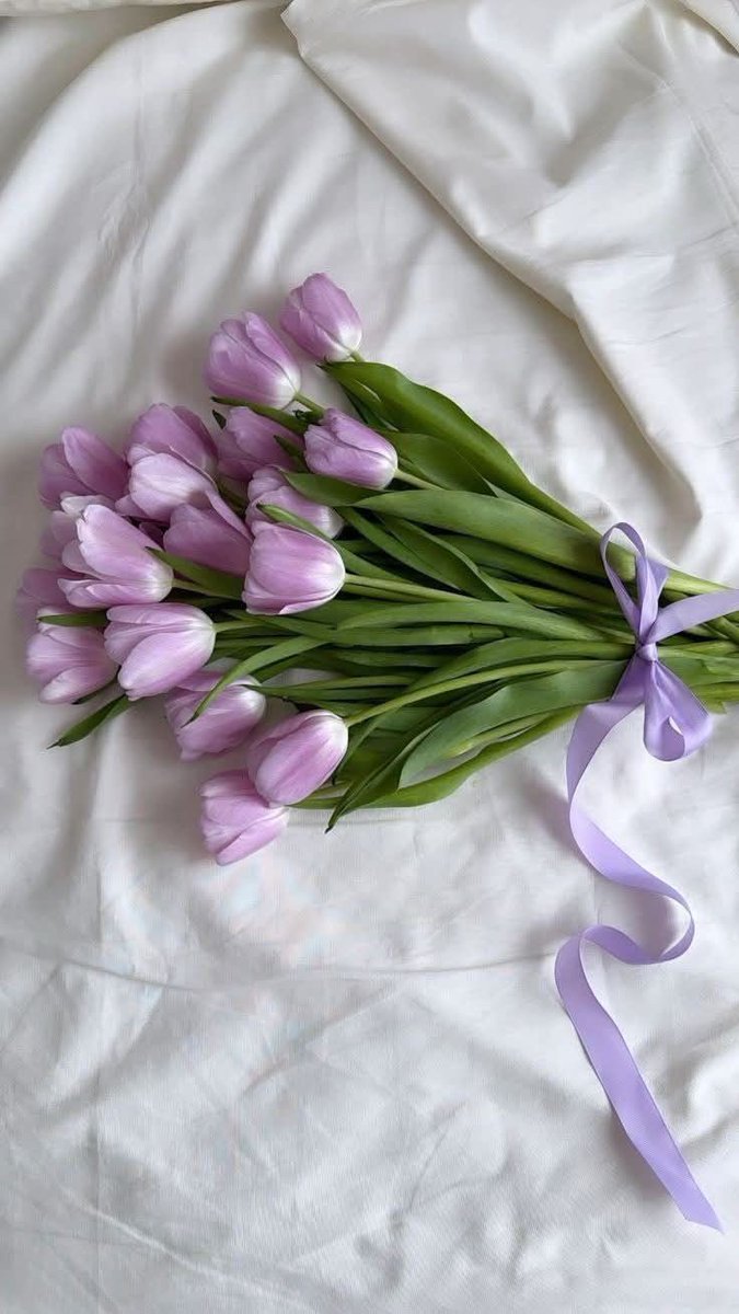 tutututututulip's tweet image. 