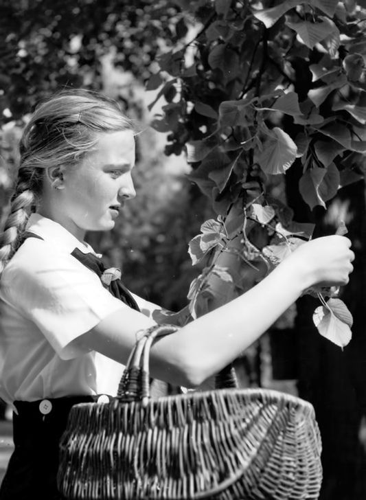 Return to Your Roots tweet media