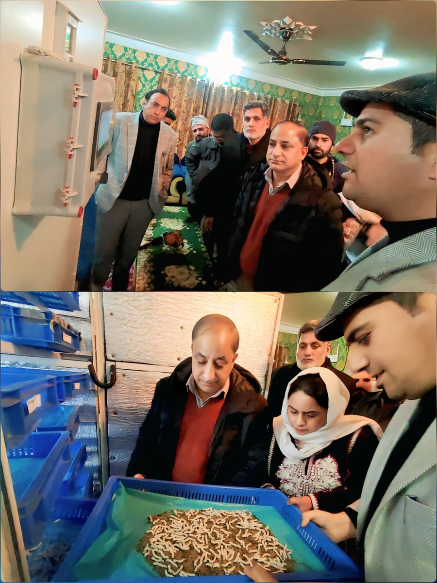 JKSDD190001's tweet photo. Mr. Ajaz Ahmad Bhat, IAS, Director Sericulture J&amp;K along with Associate Dean, Heads of Divisions &amp; Senior Scientists today visited the College of Temperate Sericulture, SKUAST-K, Anantnag to review the progress of innovative and state-of-the-art technologies.
#silkmark #mulberry https://t.co/G0C8FFxdMD