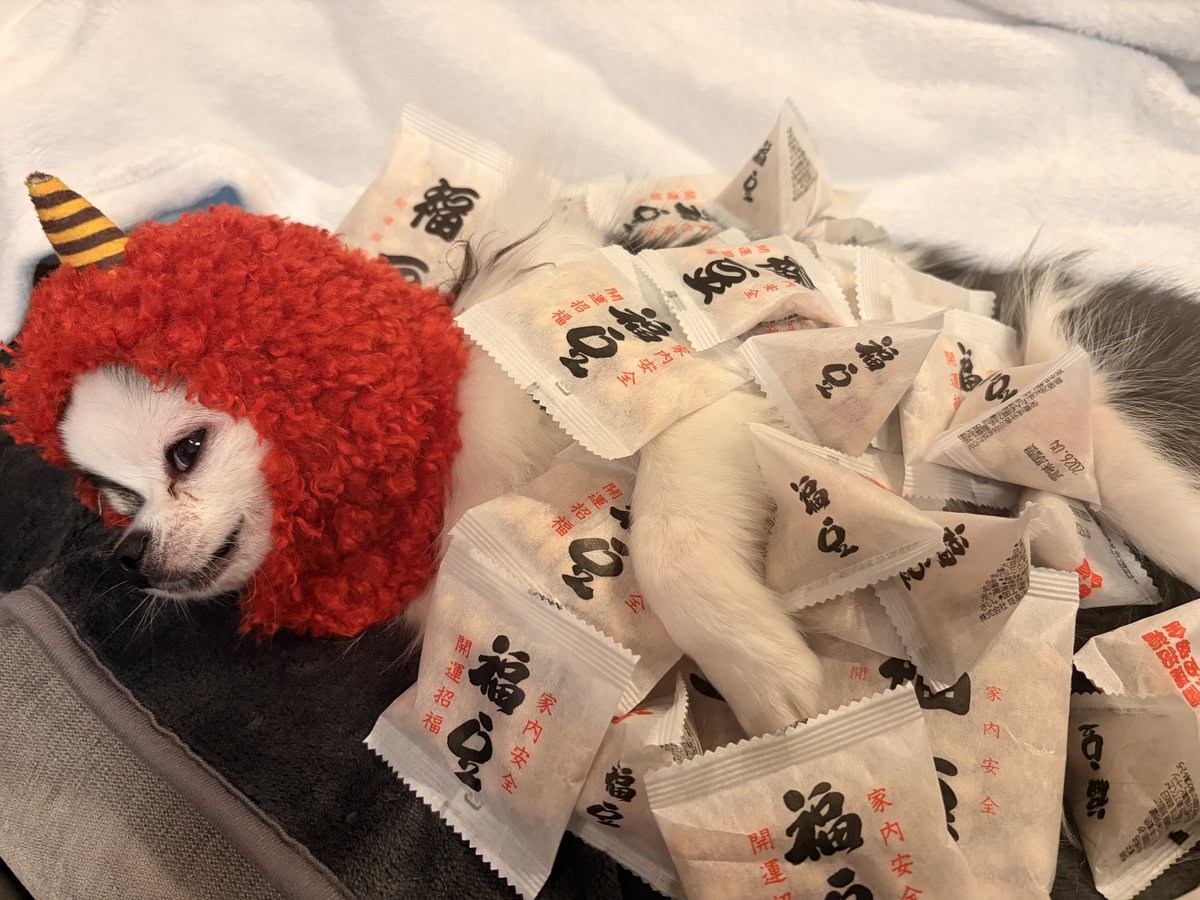 tamae_cos's tweet photo. お前も鬼👹にならないか... https://t.co/94FGuiaXpx