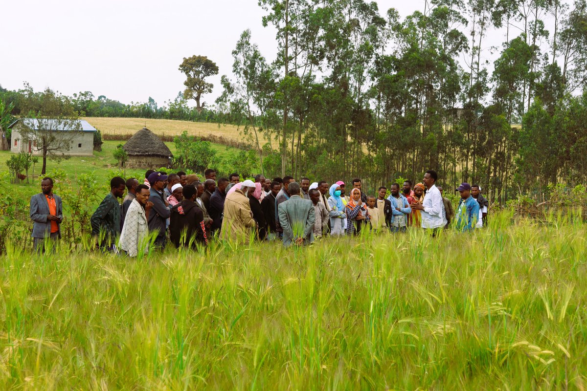 LERSHA App tweet media