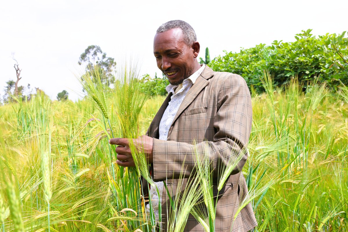 LERSHA App tweet media