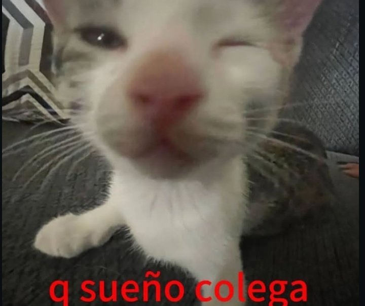 𓂃˖˳·˖ ִֶָ ⋆𝓫𝓮𝓴𝓪𝓪⋆ ִֶָ˖·˳˖𓂃 ִֶָ (@b3k4thh) on Twitter photo 