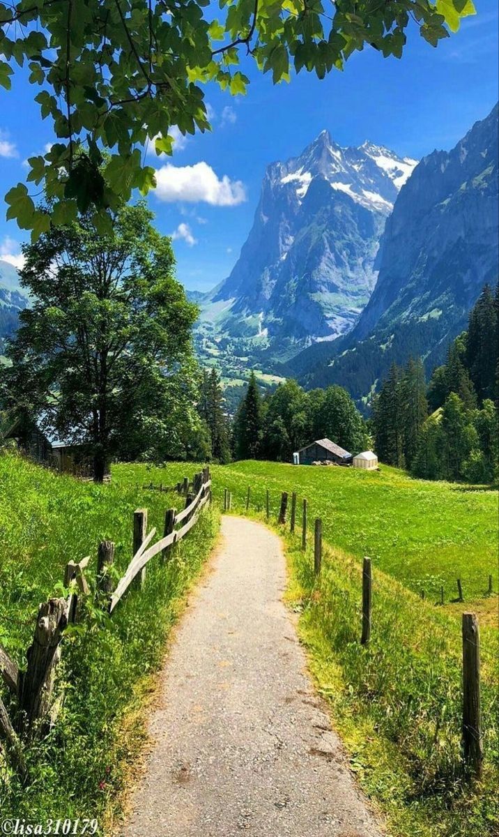 Switzerland 🇨🇭