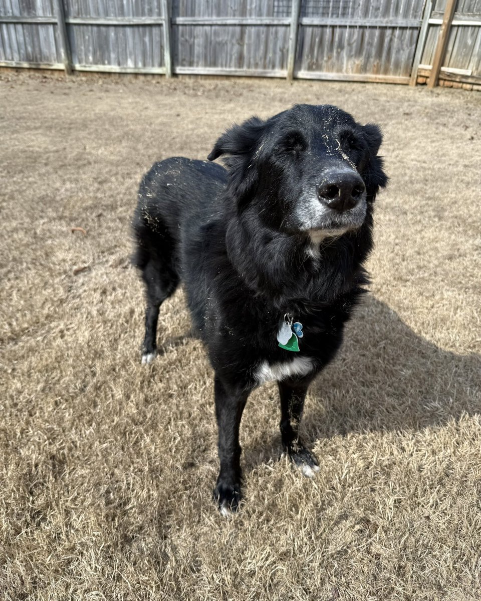 Amanda Curran ☼ tweet media