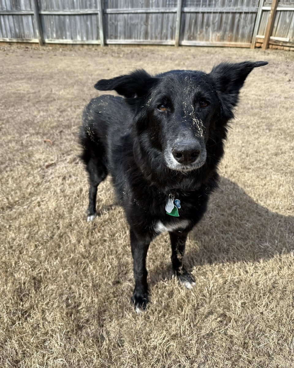 Amanda Curran ☼ tweet media