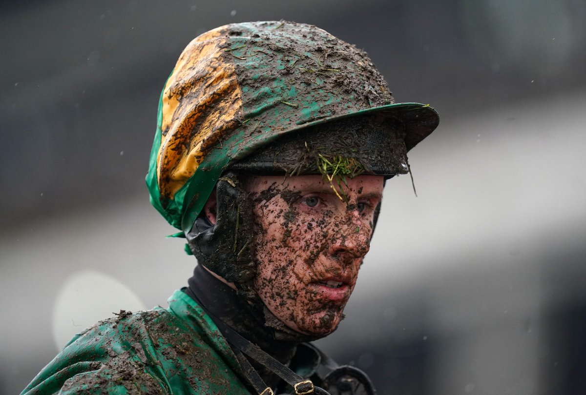 The Winners Enclosure tweet media