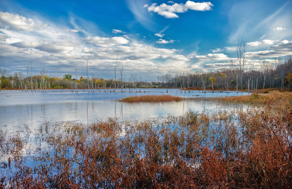 JPR1Source's tweet photo. Folklore warned us to avoid them. Today, they’re worth protecting.

Wetlands support communities, perform essential functions, and deliver lasting value. See why it’s time to rethink their role in our latest blog.

👉 https://t.co/oEZo7XnNiu

#ResilientDesign #JPR https://t.co/xktuMd3mZo