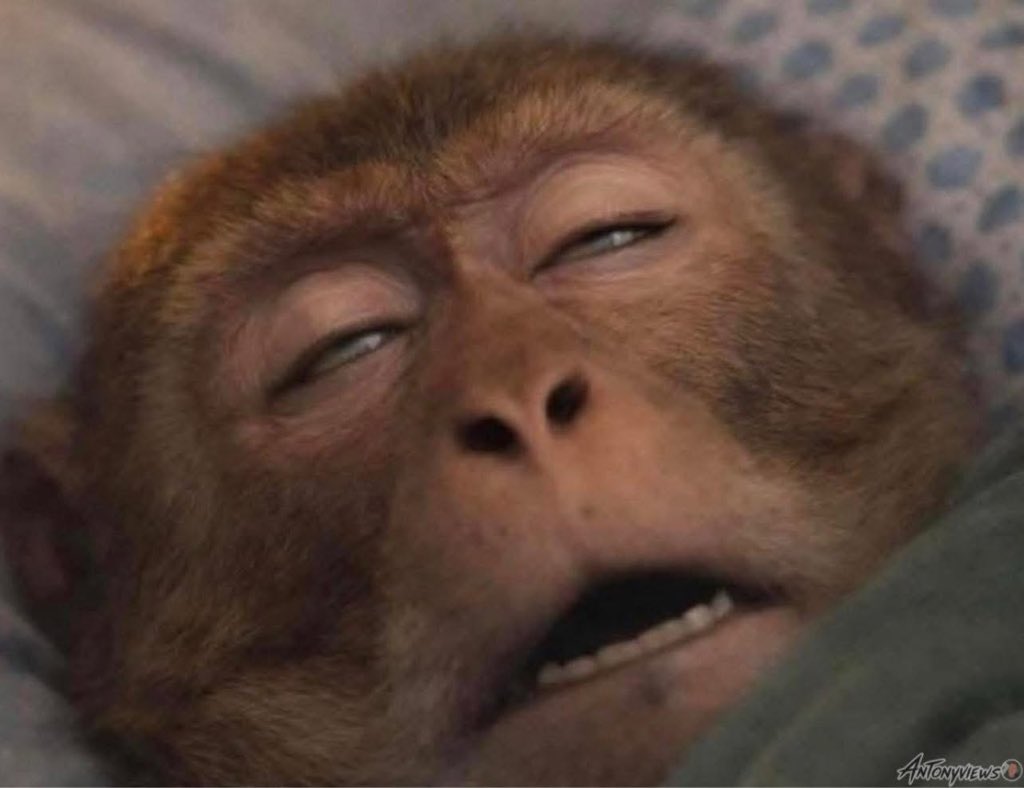 -Are you free after work?

Me after work: