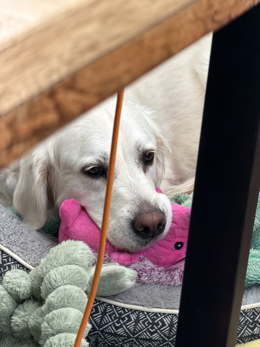 Kyle Conner tweet media