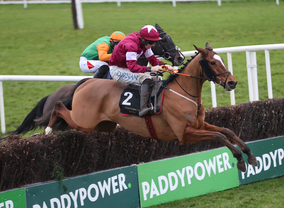 Foran Equine tweet media