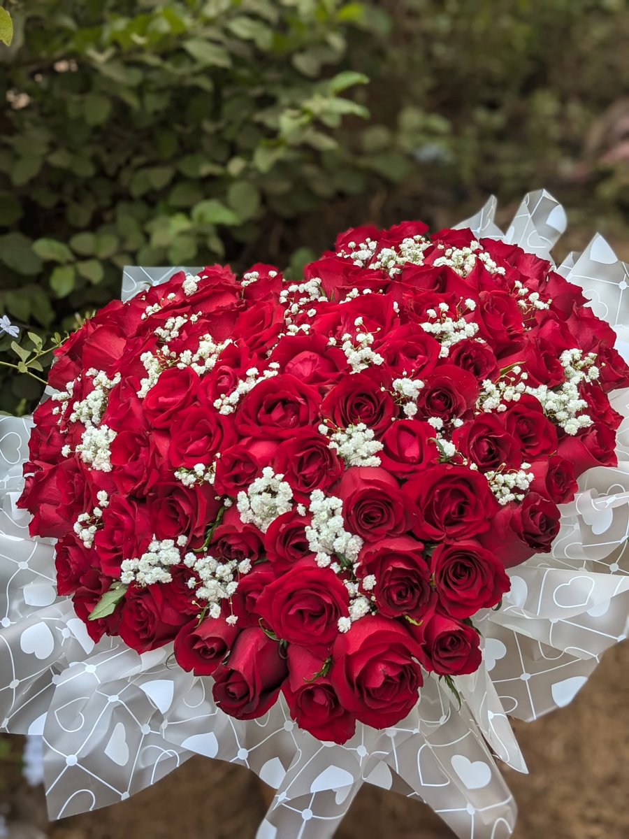 Cette Saint-Valentin, ne dites pas seulement je t’aime.
Montrez-le.

Un somptueux bouquet de roses rouges, 🌹symbole de passion, d’amour profond et de promesses éternelles.
Le cadeau parfait pour faire battre son cœur plus fort.

📞655950021
