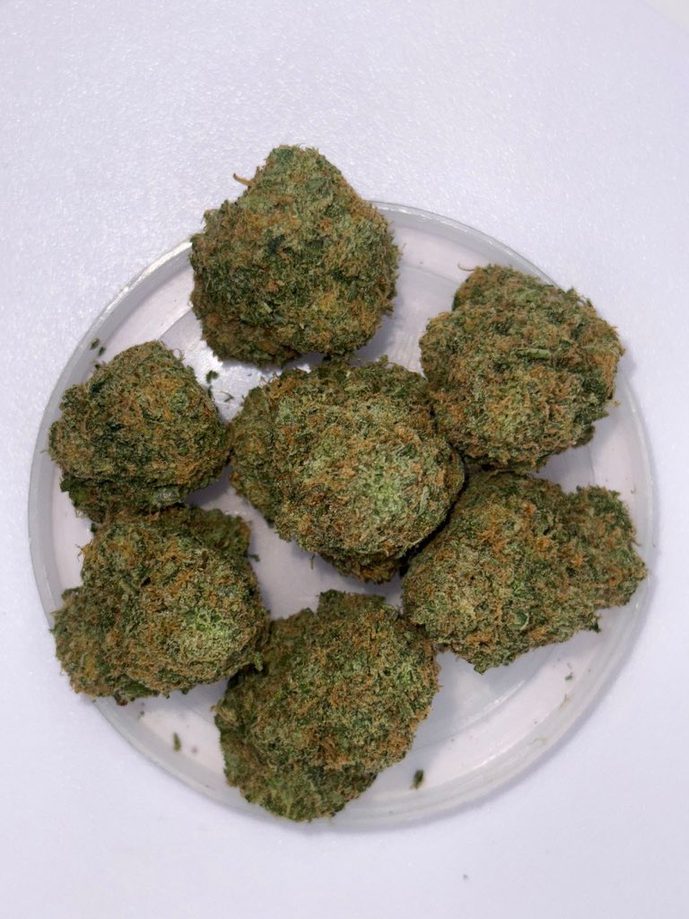 TroupeFarmAbuja's tweet photo. Strain: Limelight (sativa dominant)
Location: Abuja
Effect: Focused, energetic, relaxed
#smokers #Nigeria #Abuja #smoke #goodweed https://t.co/iWQxT3wasd