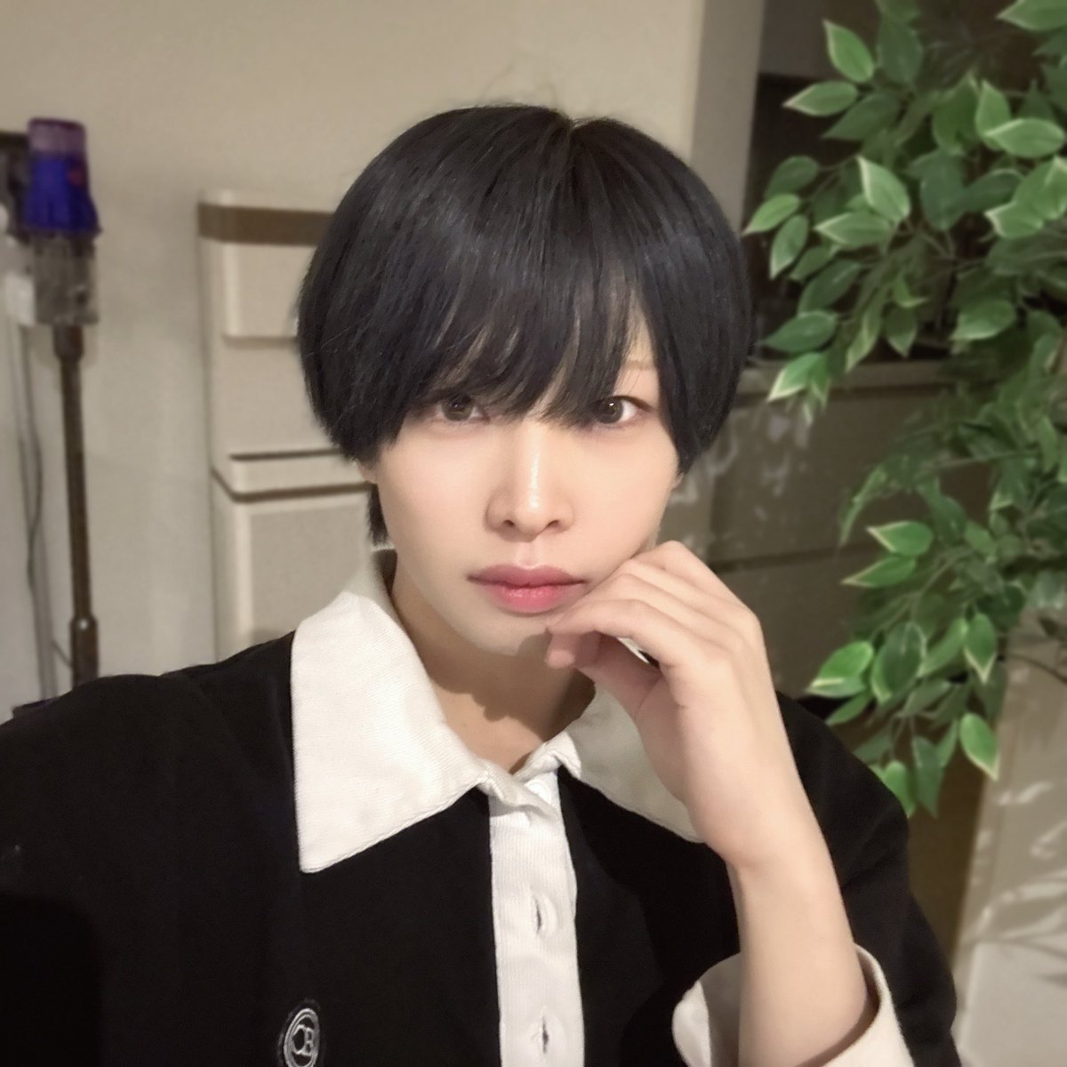相馬みみ💚 tweet media