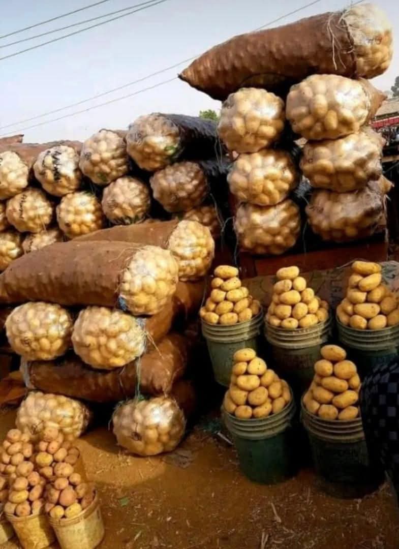 phartie_'s tweet photo. Let me be your plug this Ramadan... Delivery Nationwide... Kindly send a dm to place ur order....🙏
https://t.co/m5KqZtpxVk
Please help repost!! https://t.co/XNRsfdrzrn