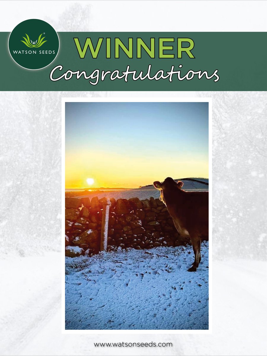 Watson Seeds tweet media