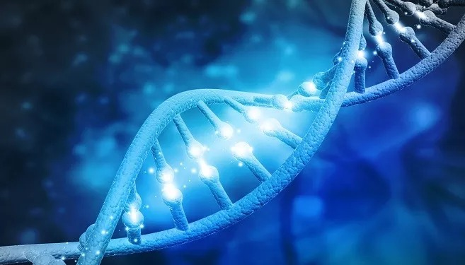 DaneNataniel's tweet photo. #Humanity #time #truth #Science #Imagine #evolution #Darwin #life #Origin
Time is an illusion. If you imagine time as a never ending spiral, going both upwards (evolution/Heaven) and downwards (regression/Hell) with the same shape as the DNA molecule structure, then you'll get a better idea of how life works.