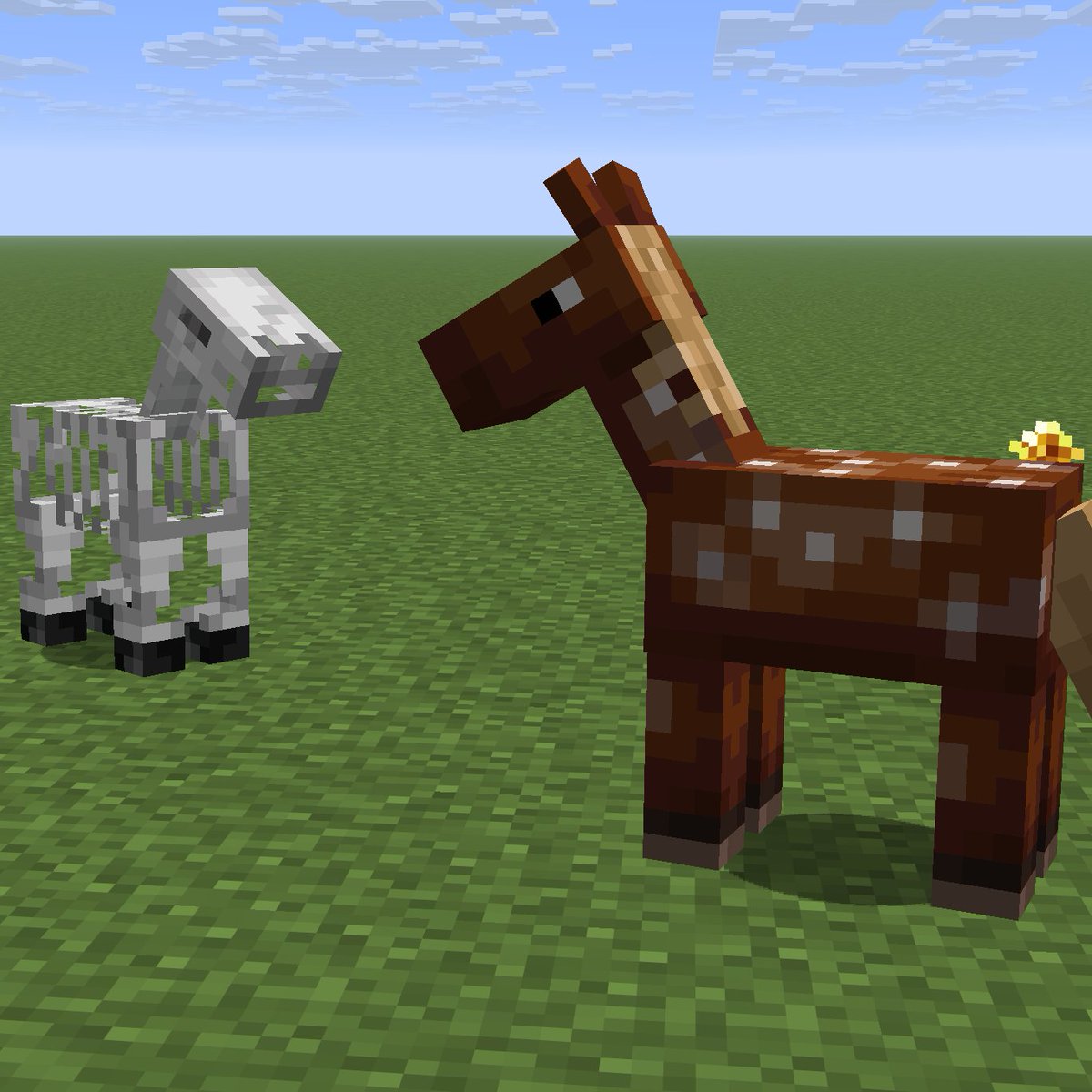 wattles 💎 tweet media