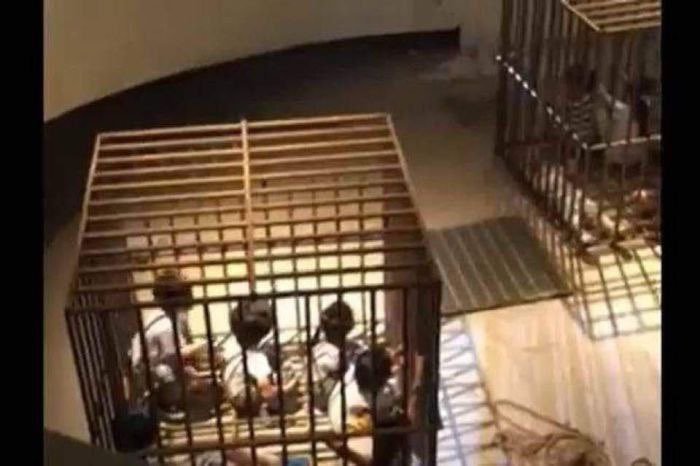 serdaremsc's tweet photo. Epstein adasına ait görüntüler ifşa oldukça,durumun sadece birkaç çocuk istismarı olmadığı ve çok büyük bir organ,adrenochrome,fuhuş vb organize çetesi ortaya çıkıyor.
Gerçekten durum sandığımızdan çok daha vahim,senelere yayarsak milyonlarca çocuktan bahsediyoruz.
#EpsteinFiles https://t.co/QgB0EhbmDc
