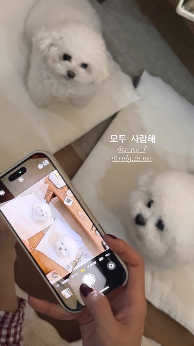 Ruby Updates tweet media