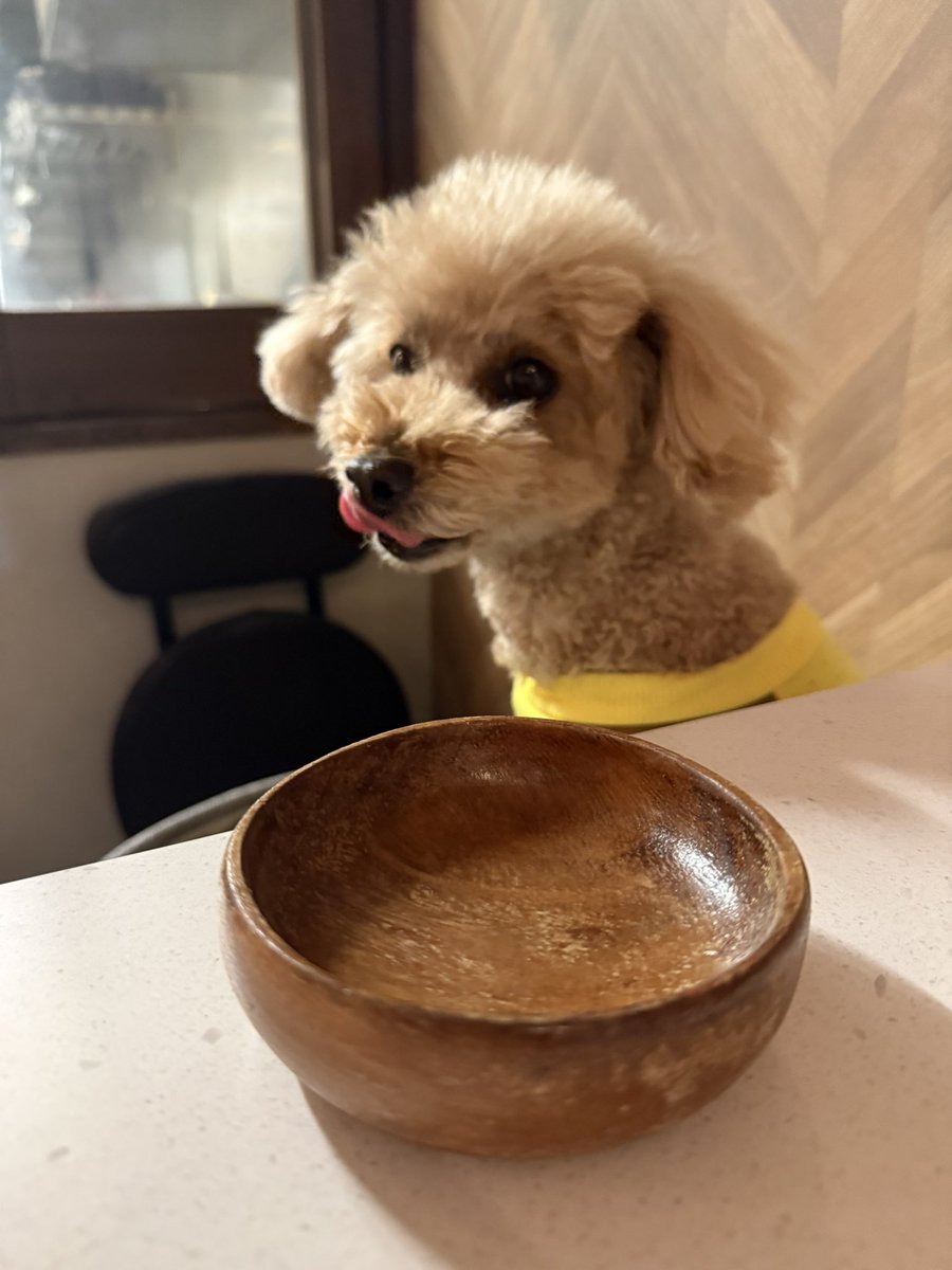 ペロリ(わんこ用メニューある)