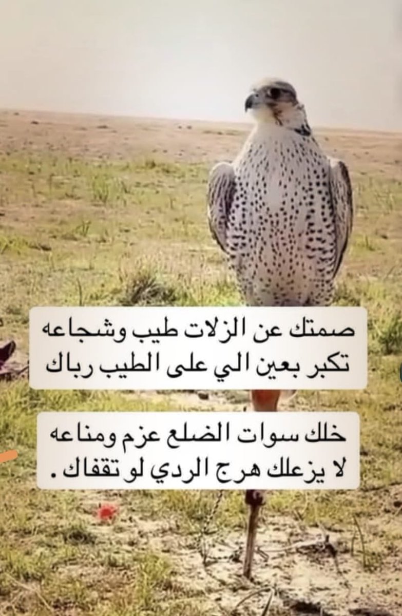 حمود الباهلي (@hmoed1432) on Twitter photo 