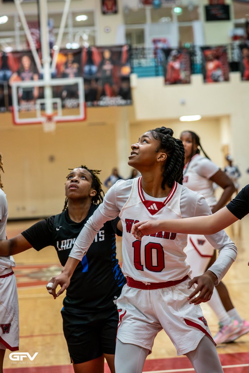 gameframevisuals tweet media