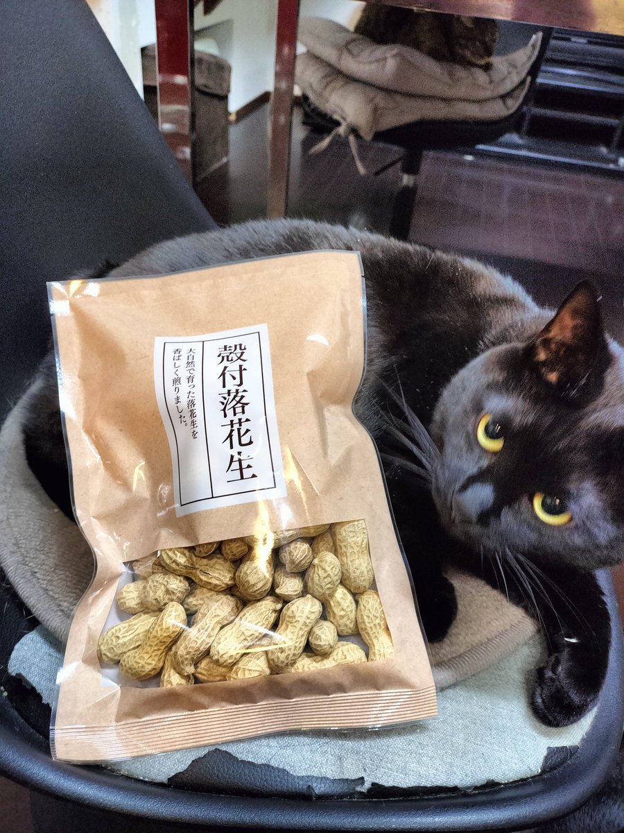 R81188's tweet photo. 豆まくぜ～👹 https://t.co/rYExKSYw6j