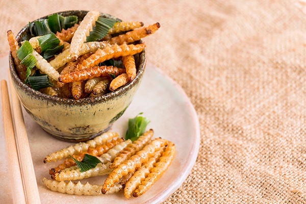 CerfiaFR's tweet image. 🇫🇷🐛🪳💸 FLASH | Liquidée en décembre 2025, l’entreprise française Ynsect spécialisée dans l’alimentation à base d’insectes aura bénéficié d’environ 148 millions d’euros d’argent public. 

La banque publique d'investissement assume avoir « cru » au projet, malgré une ambition…