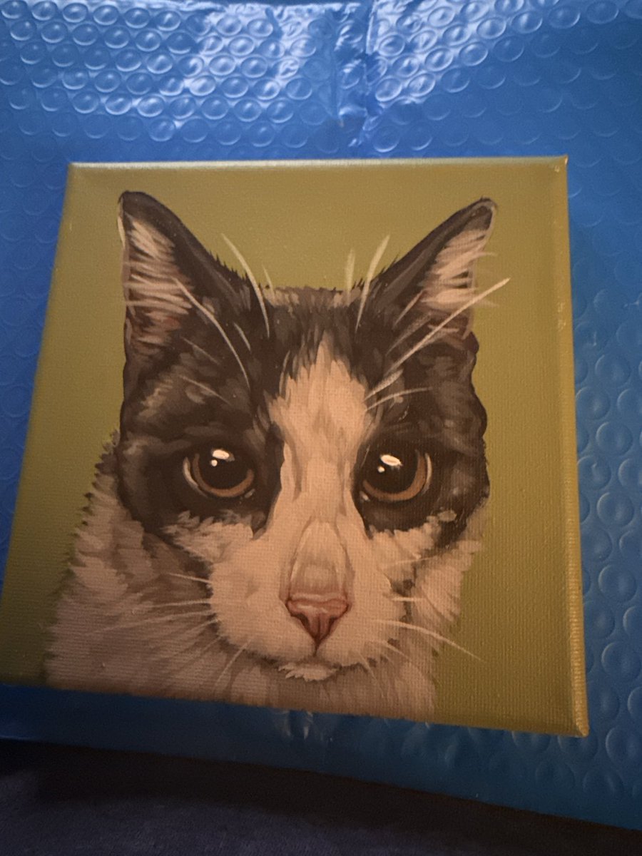 Kiss a Frog Cosplay🎃✨ tweet media