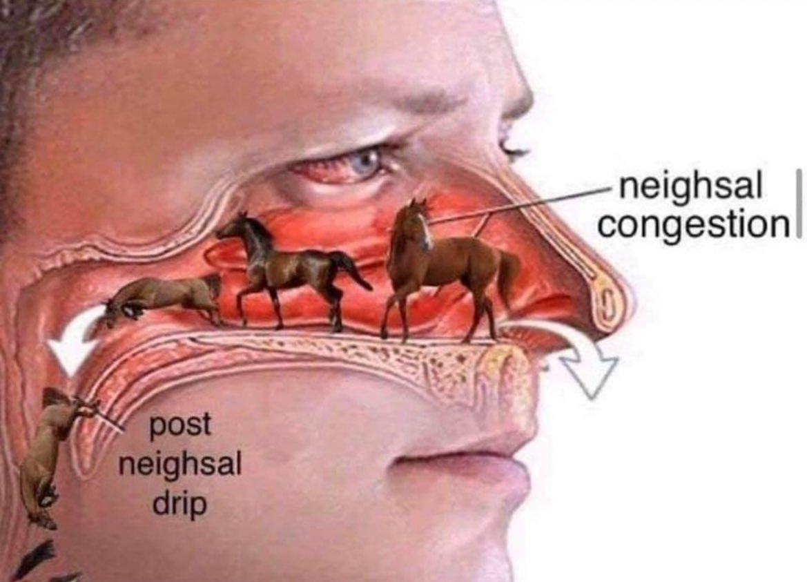 horsetwting's tweet image. 