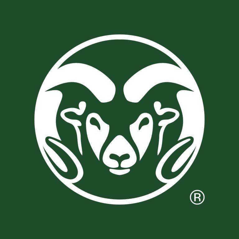 Chris Hector tweet media