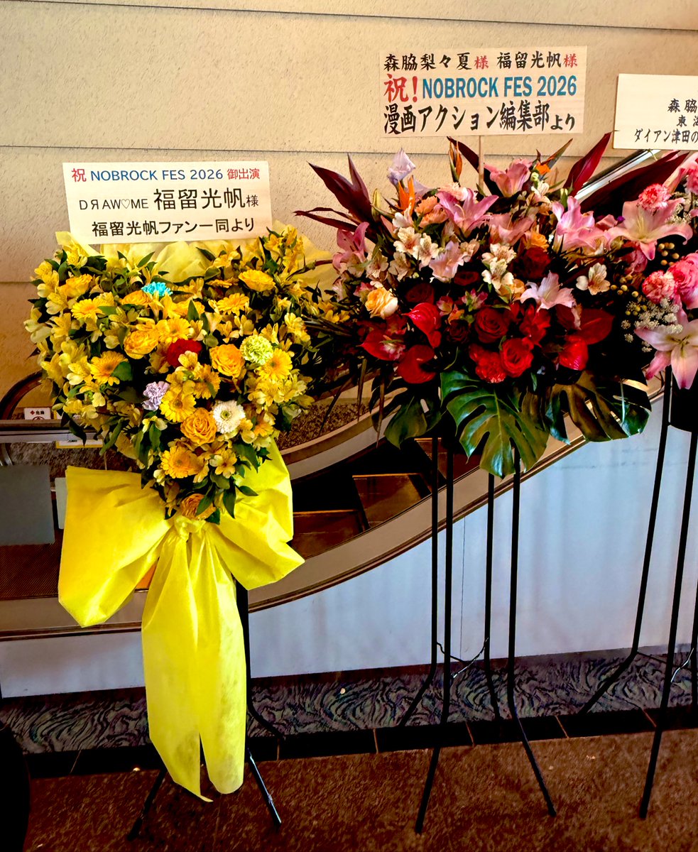 アイドルのライブとか人生初やし、ボッチ参戦やし、ペンライト（チケットに付いてた）とかどー使ったらええか分からへんからめっちゃ緊張してたけど、基本的に内容はノブロックの企画やってクソ笑ったし安心した🤣しかし、やっぱり最後のドローミーは泣いたな😭ライブ最高だ！
#NOBROCKTV #NOBROCKFES