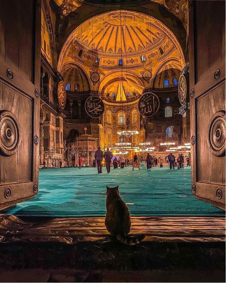 Türkiye_Pics 🇹🇷 tweet media