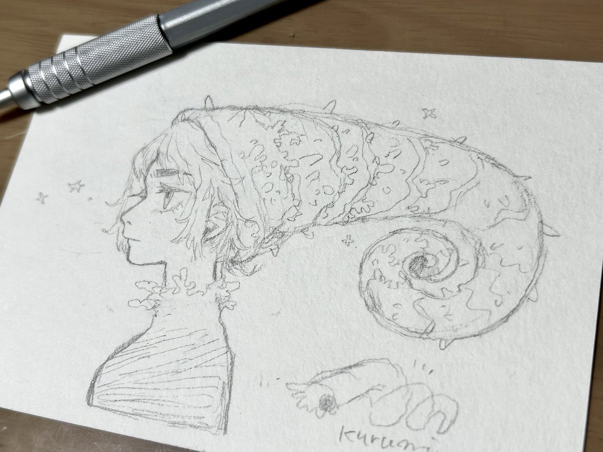 異常巻きアンモナイトハット