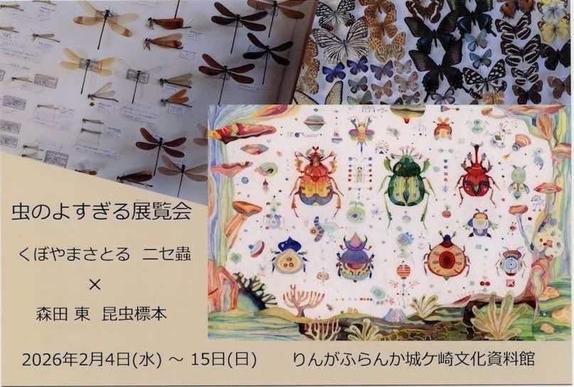 Bouillon12's tweet photo. 明日2月4日(水)から始まります『虫のよすぎる展覧会』。

#ニセ蟲
#くぼやまさとる
#まじっくらんど
#昆虫
#りんがふらんか城ヶ崎文化資料館
#入場無料 https://t.co/00AXJPWCFY