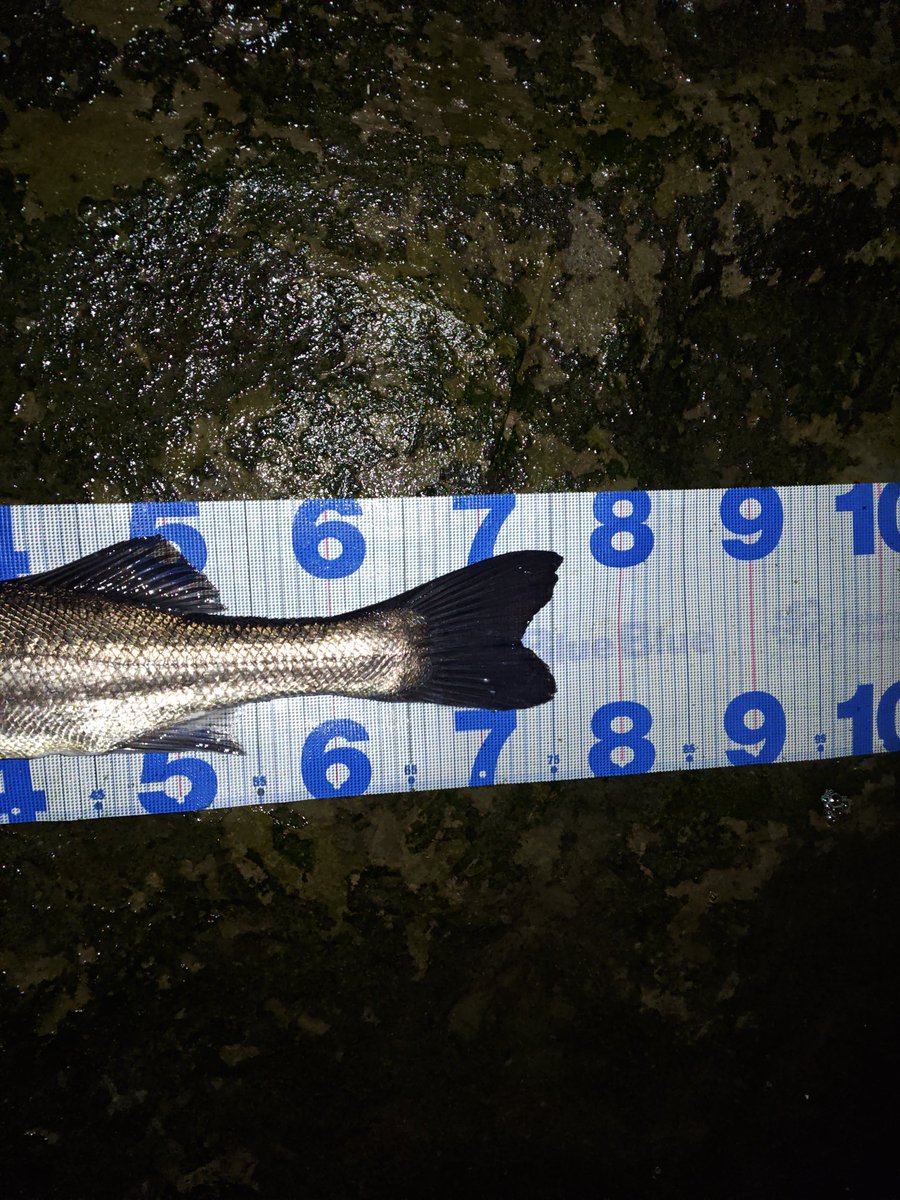 けん (@eN77iswGCByVNCI) / Posts / X