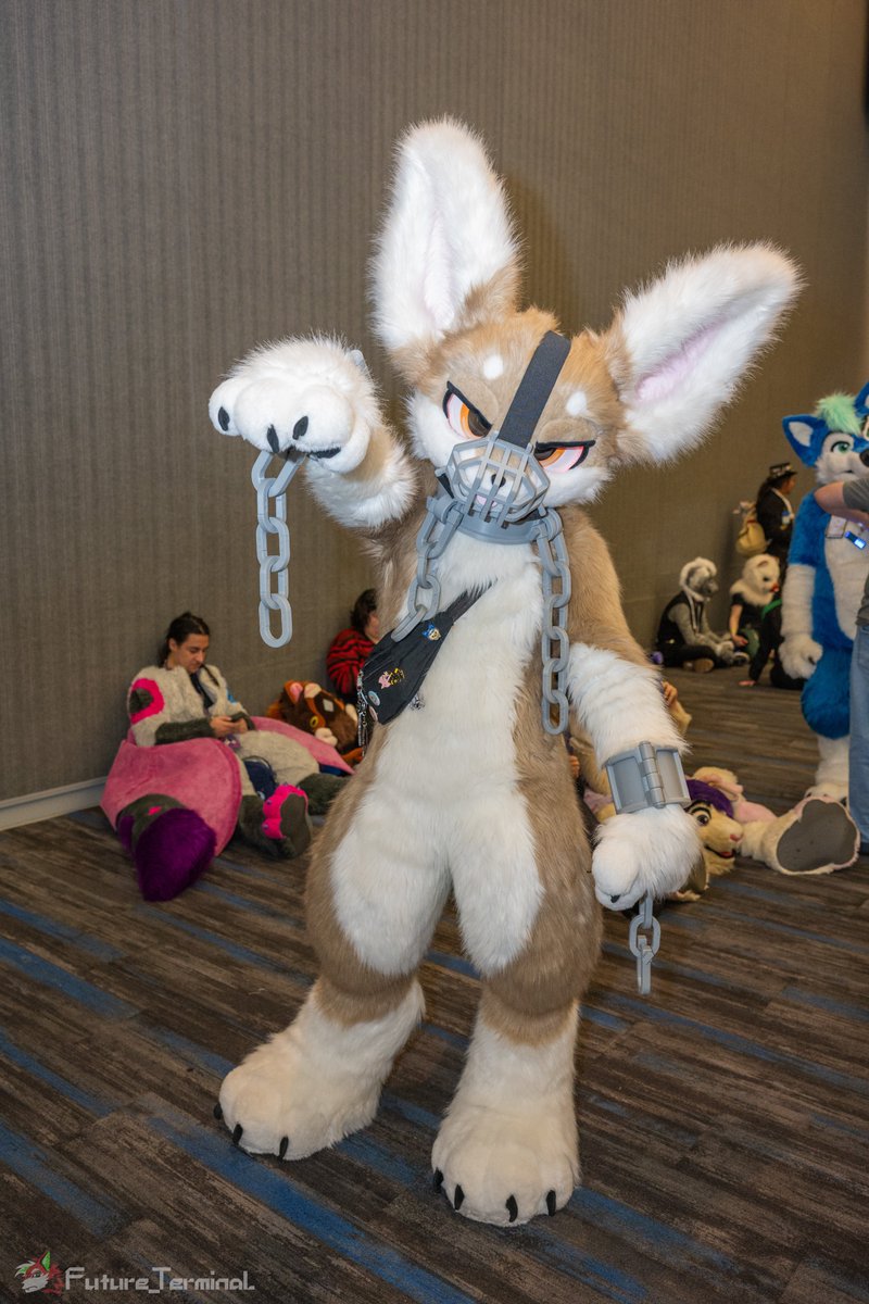 Unleash the beast 

📸: <a href="/Future_Terminal/">Future_Terminal 🔜 AC</a>