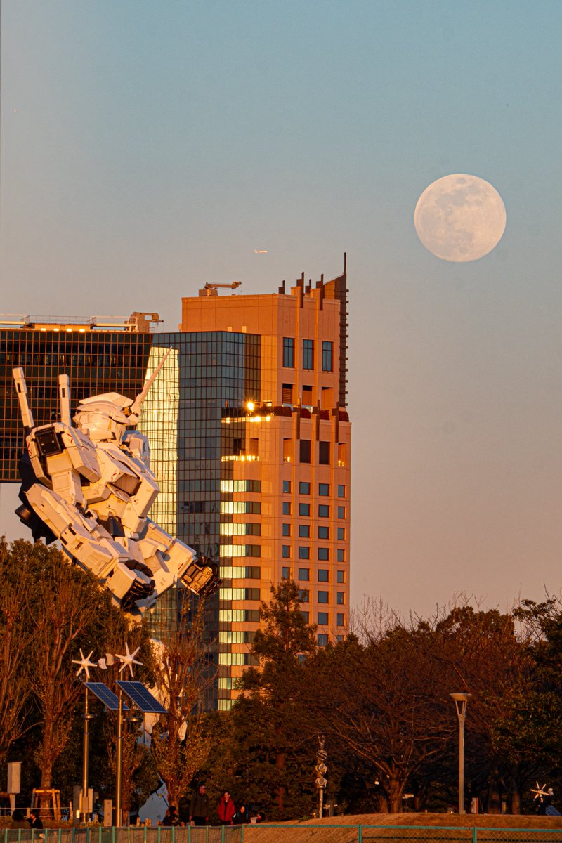 よっくん (@yoshi115t) / Posts / X