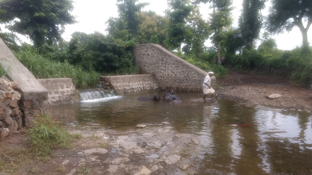 Water Alternatives tweet media