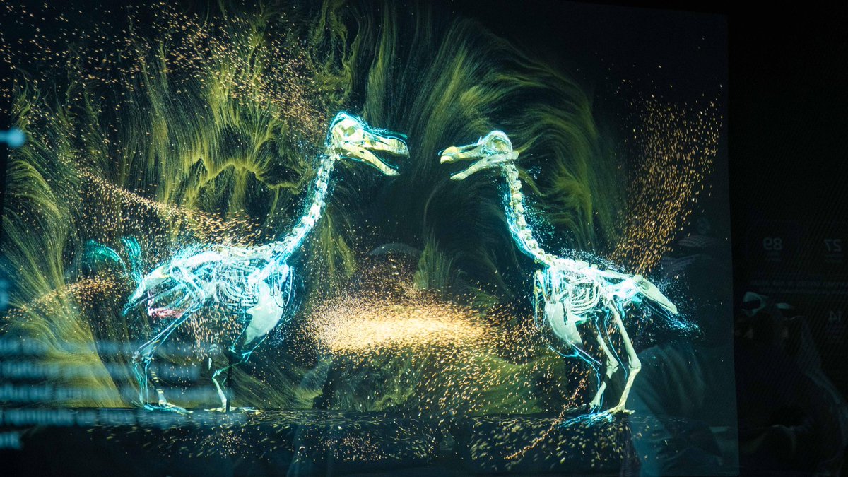 عمار بن حميد النعيمي tweet media