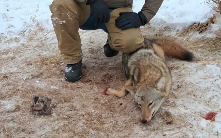 Kristina Snyder Ⓥ tweet media