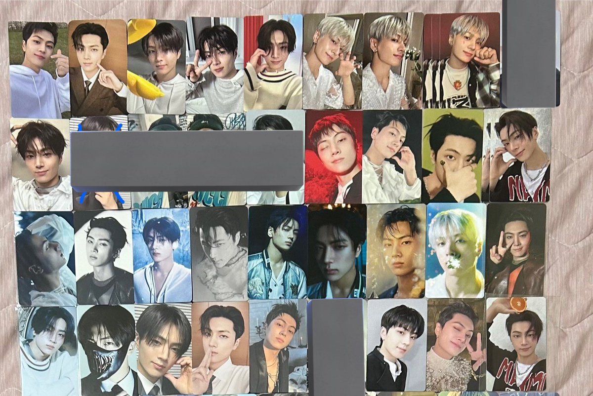 Daoye🐈🦌🦅🦮🐧🦊🐥 tweet media