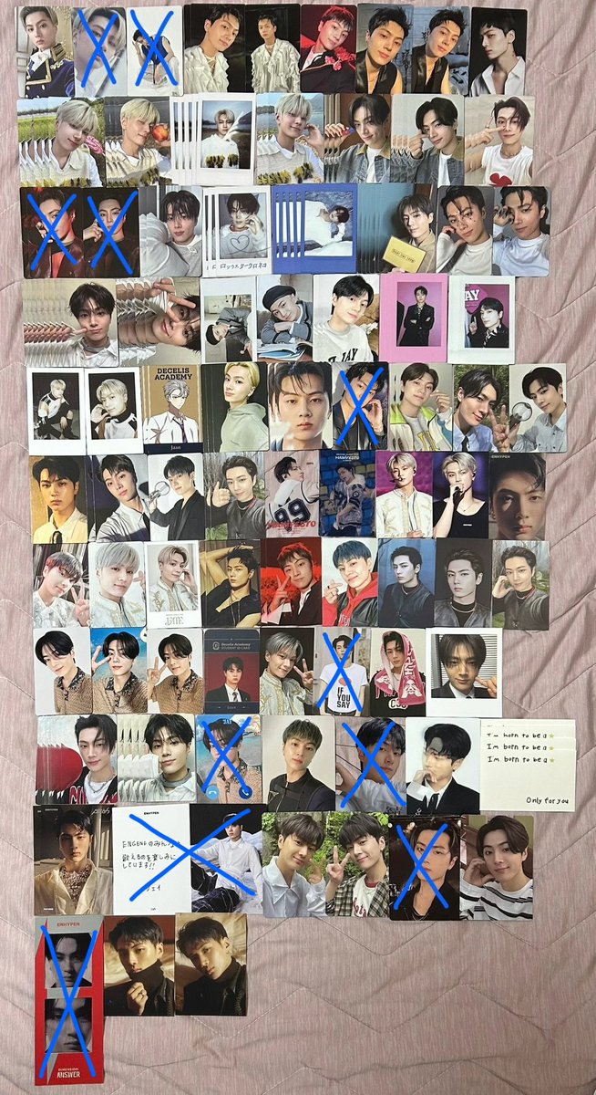 Daoye🐈🦌🦅🦮🐧🦊🐥 tweet media