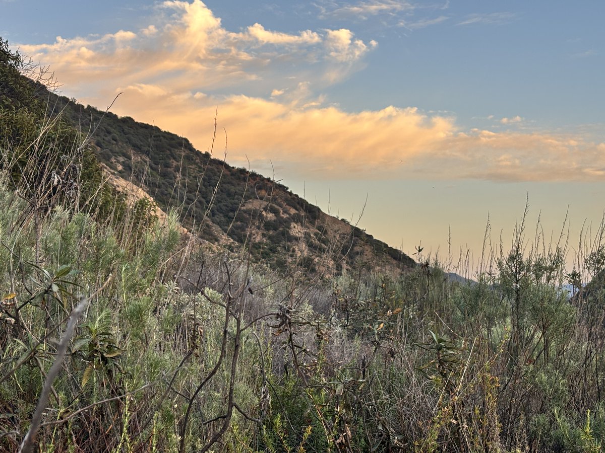 DevaTemple's tweet image. Alignment is an emergent property of systems that remain in regulated relationship with their environments over time.

#AI #Alignment