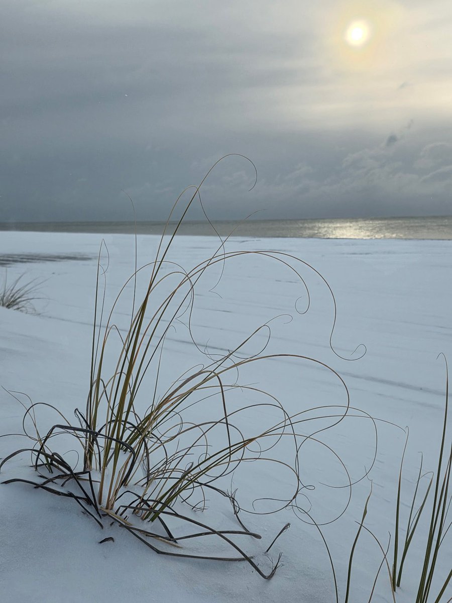 Elliott Beach Rentals | Vacation Homes & Condos tweet media