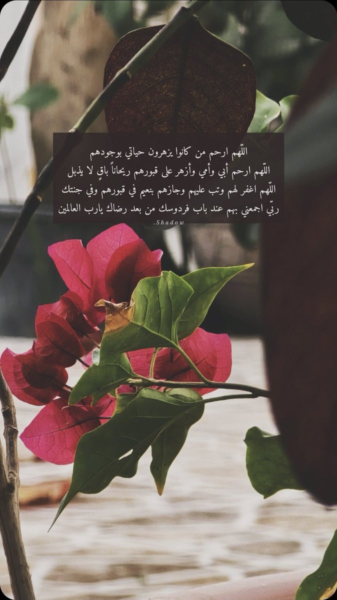 🍃

`

اللهم آمين . . .